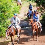 Full Day Eco Safari Adventure and Cultural Tour - Measuring the Experience Against Expectations