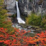 Full Day El Chalten - Final Thoughts: Is This Tour Right for You?