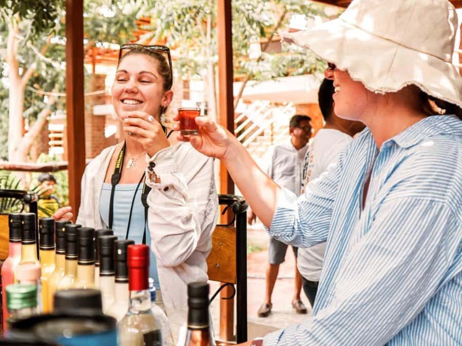 Full Day Exclusive Service from Lima: Visit Paracas and Huacachina - Exploring the Highlights of the Tour