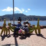 Full Day Excursion Lake Titicaca, Copacabana and Sun Island - Practical Tips for Making the Most of Your Day