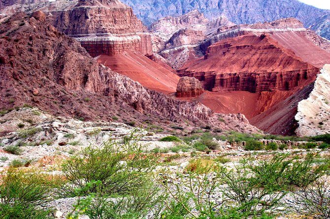 Full Day Excursion to Cafayate from Salta - The Sum Up