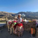 Full day excursion to Colca Canyon - A Detailed Look at the Colca Canyon Tour