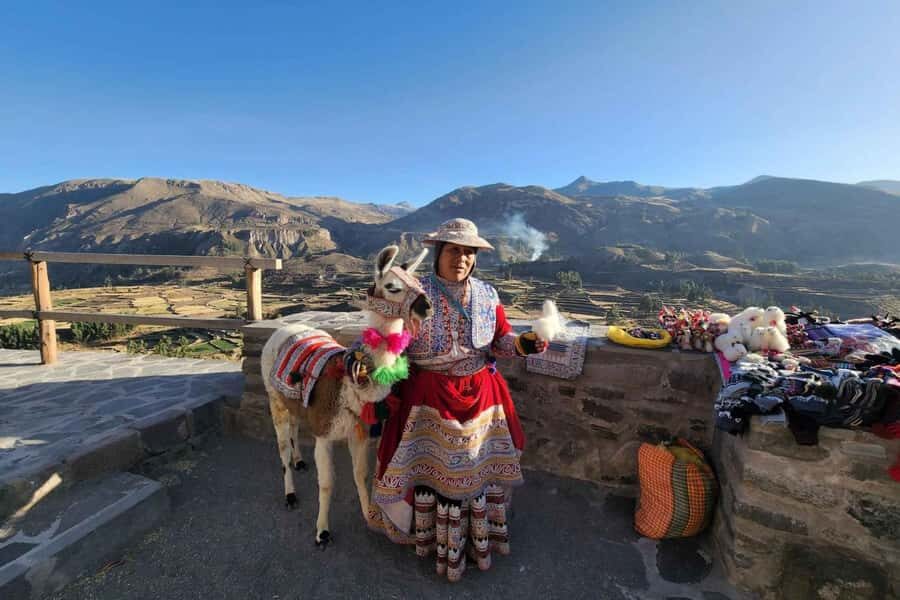 Full day excursion to Colca Canyon - A Detailed Look at the Colca Canyon Tour