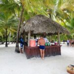 Full Day Excursion to Isla Saona from Santo Domingo - A Detailed Look at the Day