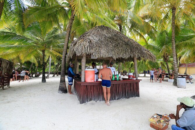 Full Day Excursion to Isla Saona from Santo Domingo - A Detailed Look at the Day