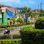 Full-Day Excursion to Samaná from Punta Cana - What Does the Tour Feel Like in Practice?