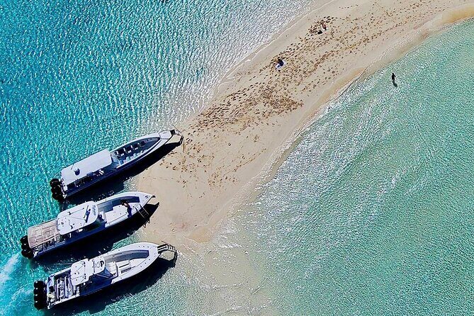 Full Day Exuma Swimming Pigs - Group Boat Tour From Nassau