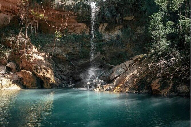 Full-Day Gozalandia Private Tour in Puerto Rico - Who Will Love This Tour?