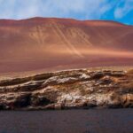 Full Day Group Tour Paracas and Ica from Lima - What Travelers Say: Authentic Perspectives