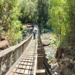 Full day HIKE Alerce Andino Parque Nacional. - Authenticity and Value