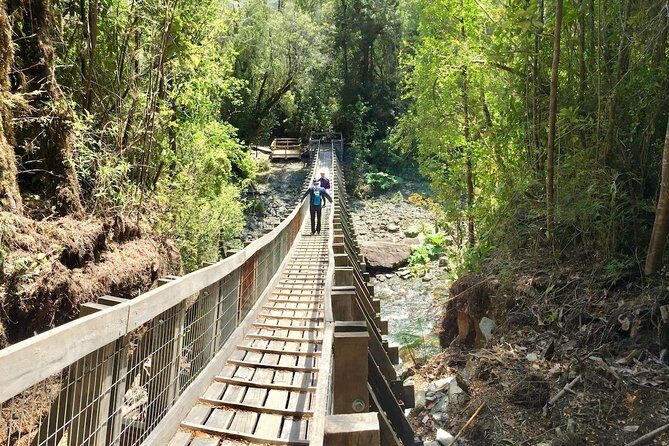 Full day HIKE Alerce Andino Parque Nacional. - Authenticity and Value