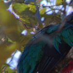 Full day hiking and bird watching at Savegre River San Gerardo near to San Jose - Final Thoughts: Who Is This Tour Best For?