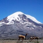 Full-Day Hiking Experience of Chimborazo Volcano with Lunch - A Thorough Look at the Chimborazo Full-Day Hike