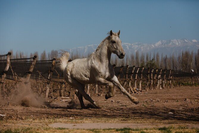 Full Day Horseback Riding - What Makes This Tour Special?
