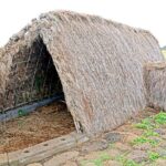 Full Day Hotu Matua Tour from Vaihu to Anakena - Who Should Take This Tour?