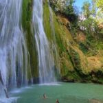 Full Day Humpback Whale Watching Tour in Samana from Uvero Alto - Who Would Enjoy This Tour?