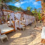 Full day in del rosario islands with diving included - A Deep Dive into the Experience