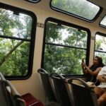 Full Day in Rio: Christ by Train, Sugarloaf, Selarón & Barbecue - What Travelers Say: Authentic Perspectives