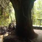 Full Day in The Amazon Jungle with Trails, Caves and Waterfalls - Authenticity and Value