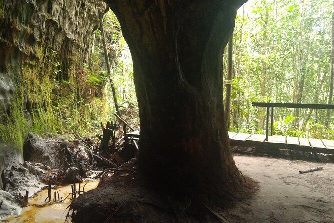 Full Day in The Amazon Jungle with Trails, Caves and Waterfalls - Authenticity and Value