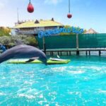 Full day in the Rosario Islands with lunch Cartagena - Who is This Tour Best For?