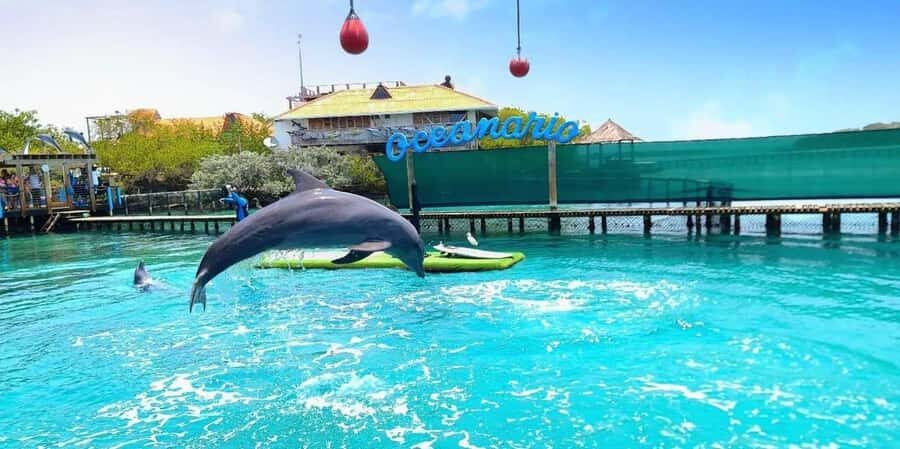 Full day in the Rosario Islands with lunch Cartagena - Who is This Tour Best For?