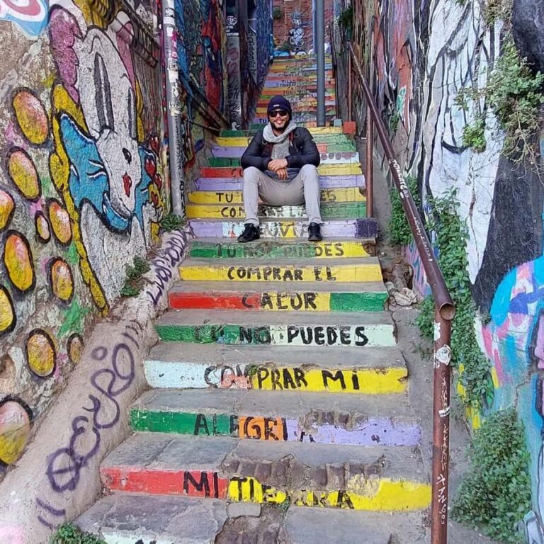 Full Day in Viña del Mar and Valparaiso from Santiago - A Deep Dive into the Full-Day Tour Experience