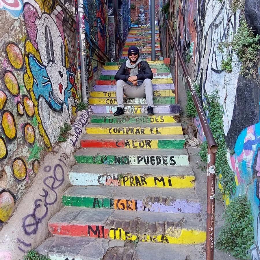 Full Day in Viña del Mar and Valparaiso from Santiago - A Deep Dive into the Full-Day Tour Experience