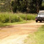 Full-Day Jungle Jeep Waterfall and Cachaça Distillery Tour - A Full Breakdown of What to Expect