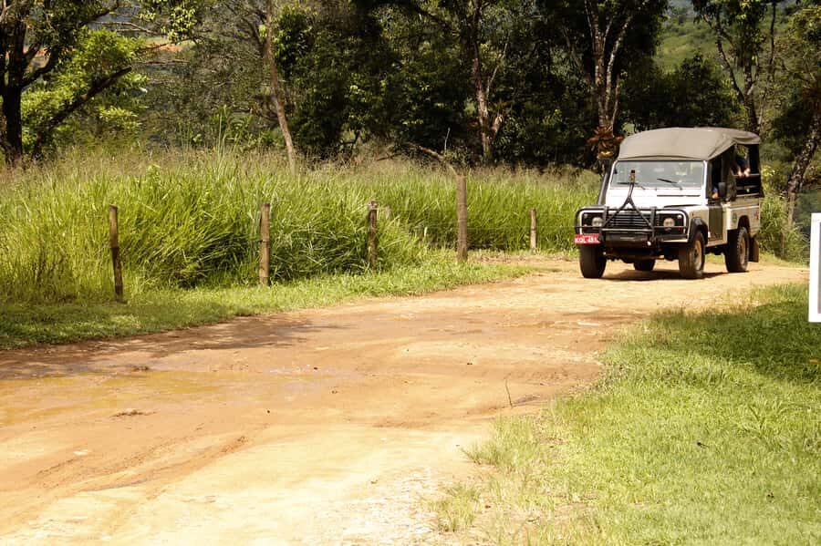Full-Day Jungle Jeep Waterfall and Cachaça Distillery Tour - A Full Breakdown of What to Expect