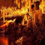 Full-Day Natural Heritage Tour in Barbados with Lunch - Who Should Take This Tour?