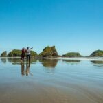 Full Day on Chiloé Island Visiting Penguins in Puñihuil - In-Depth Look at the Tour Experience