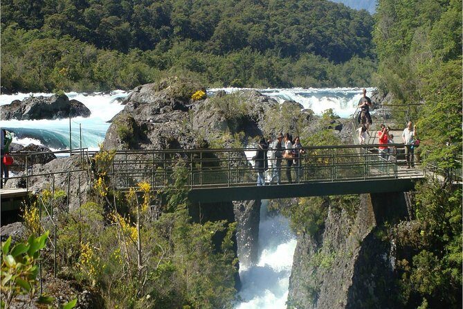 Full-Day Osorno Vulcano and Petrohue Falls Small-Group Tour - The Sum Up