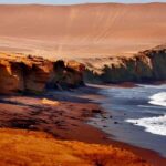 Full Day Paracas and Ballestas Islands - Detailed Experience Breakdown