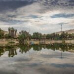 Full Day Paracas - Ica - Oasis Huacachina - A Deep Dive into the Tour Experience