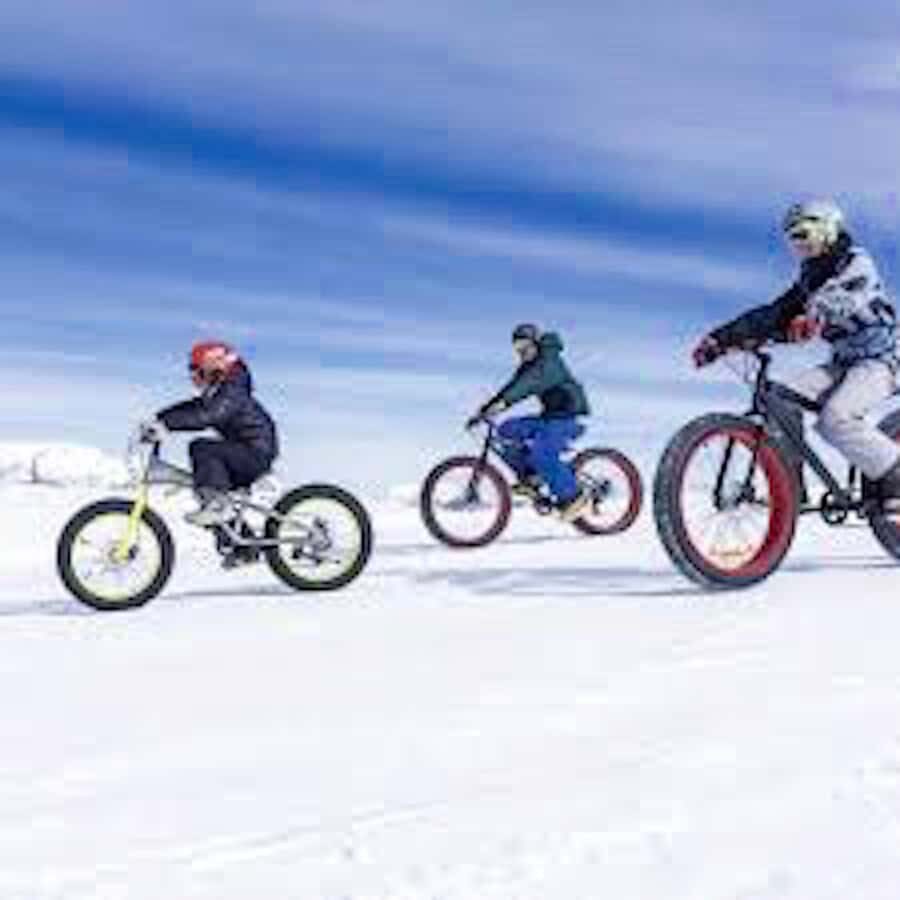 Full day Park Farellones with ticket - Analyzing the Value