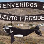 Full Day Peninsula Valdes Experience - optional Whale Watching - FAQ