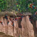 FULL DAY|| Piranha Fishing Excursion in Tambopata - The Experience Provider and Booking Flexibility