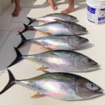 Full Day Playa Flamingo Private Fishing Trip - FAQ