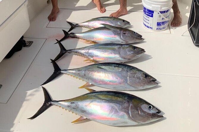 Full Day Playa Flamingo Private Fishing Trip - FAQ