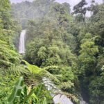 Full Day Poas Volcano, La Paz Waterfall Gardens and Coffee Plantation Experience - Who Will Love This Tour?