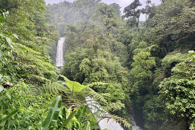 Full Day Poas Volcano, La Paz Waterfall Gardens and Coffee Plantation Experience - Who Will Love This Tour?