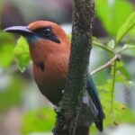 Full Day Private Bird and Nature Sightseeing Tour in Pipe Line - Who Will Love This Tour?