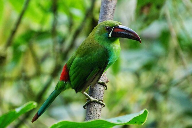 Full-Day Private Birding Tour in La Paz Refuge & Hummingbirds - Final Thoughts