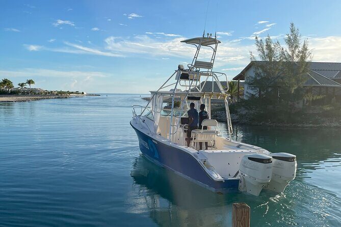 Full Day Private Charter Bottom Fishing Experience - Who This Tour Is Best For