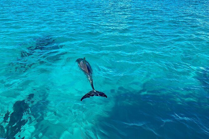 Full Day Private Charter Tour Turks and Caicos - Who This Tour Is Best For