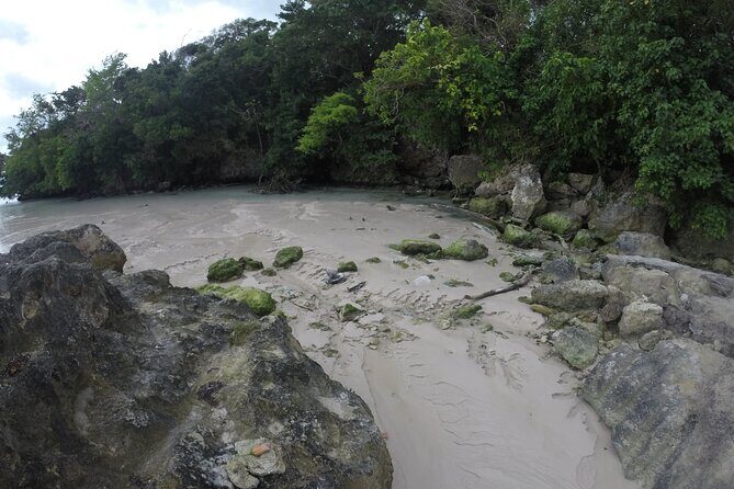 Full Day Private Guided Tour in Lagoon Dudu from Santo Domingo - Transportation and Timing