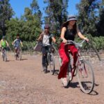 Full-Day Private Maipo Valley Bike Tour and Wine Tasting from Santiago - Who Will Love This Tour?
