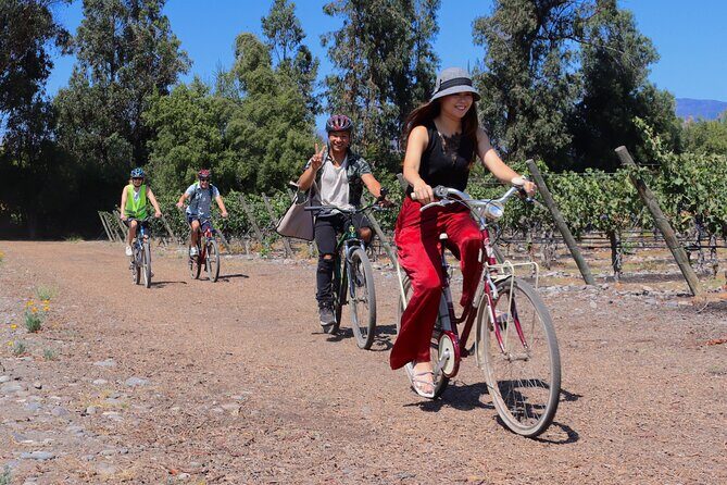 Full-Day Private Maipo Valley Bike Tour and Wine Tasting from Santiago - Who Will Love This Tour?