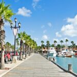 Full Day Private Shore Tour in Oranjestad from Oranjestad Port - Final Thoughts